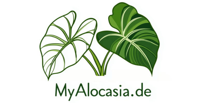 MyAlocasia Logo